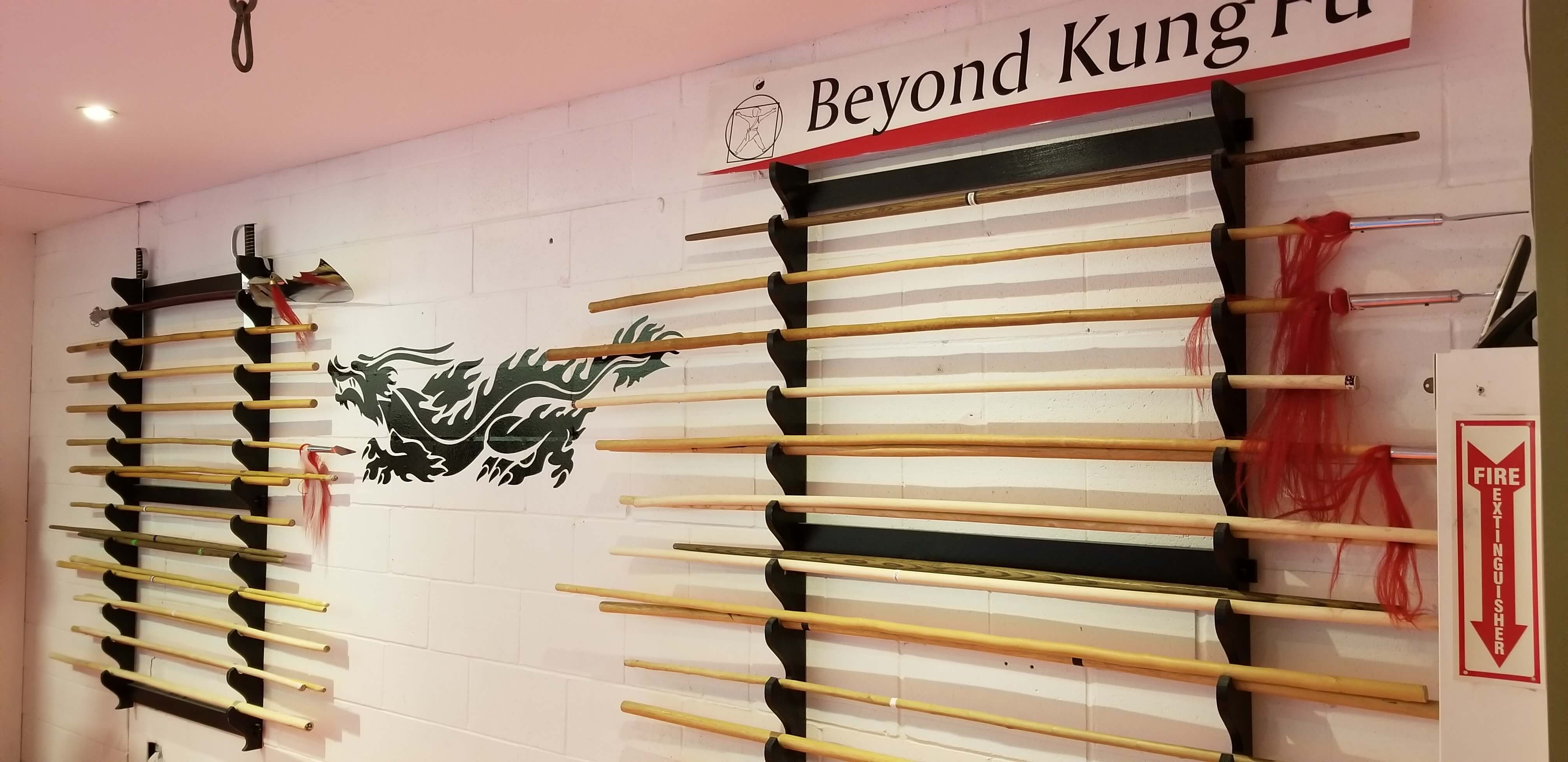 Beyond Kungfu 9